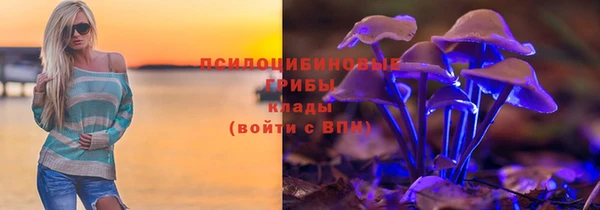 трава Дмитров