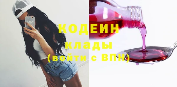 дурь Гусев