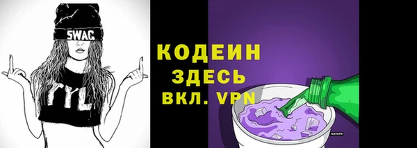 дурь Гусев