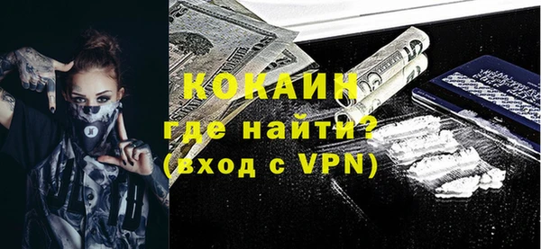 дурь Гусев
