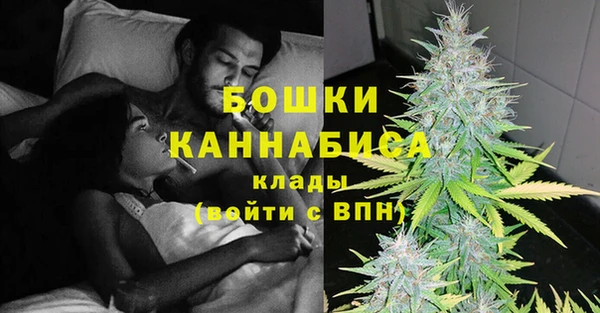 дурь Гусев
