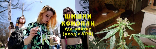 дурь Гусев